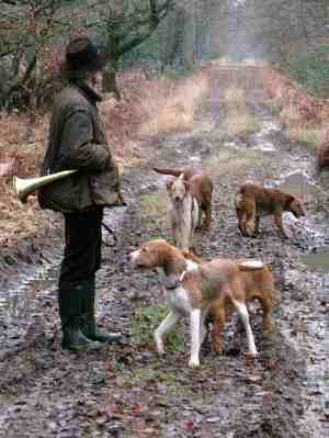 hunting in the Sologne.